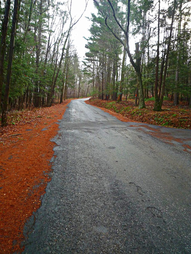 6. Watson Hollow Road