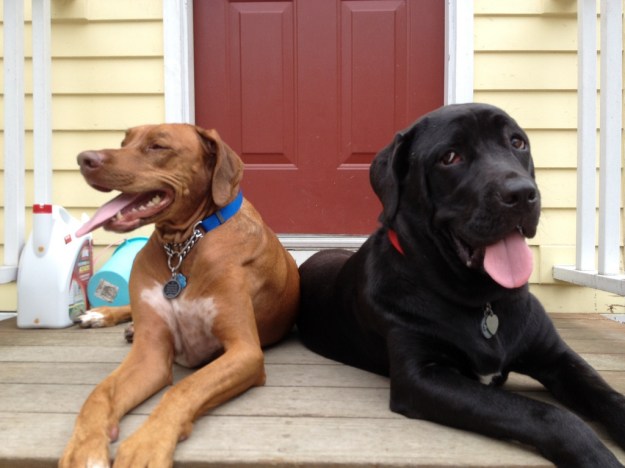 7669960002_177d55e507_b