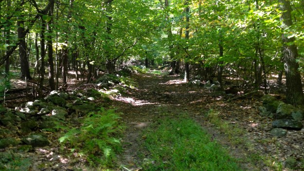 13. Rock Hill Road backward