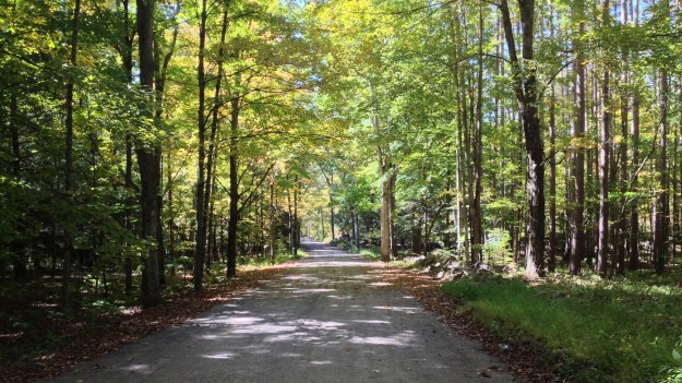 17. Rogue Harbor Rd 2