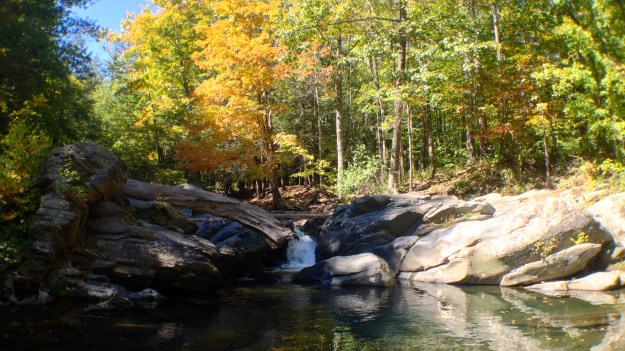 19. Lundy Road Swimming Hole