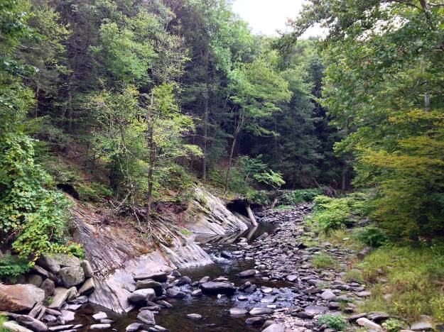 Sandburg Creek outside of Ellenville.