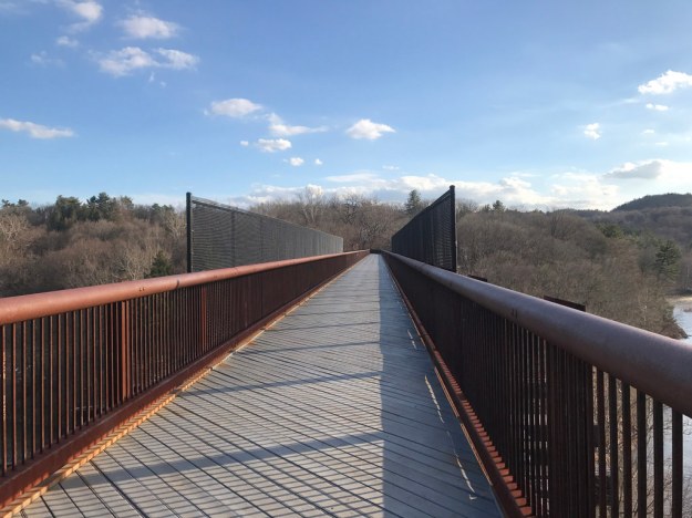 33251475985_a80a74792f_b