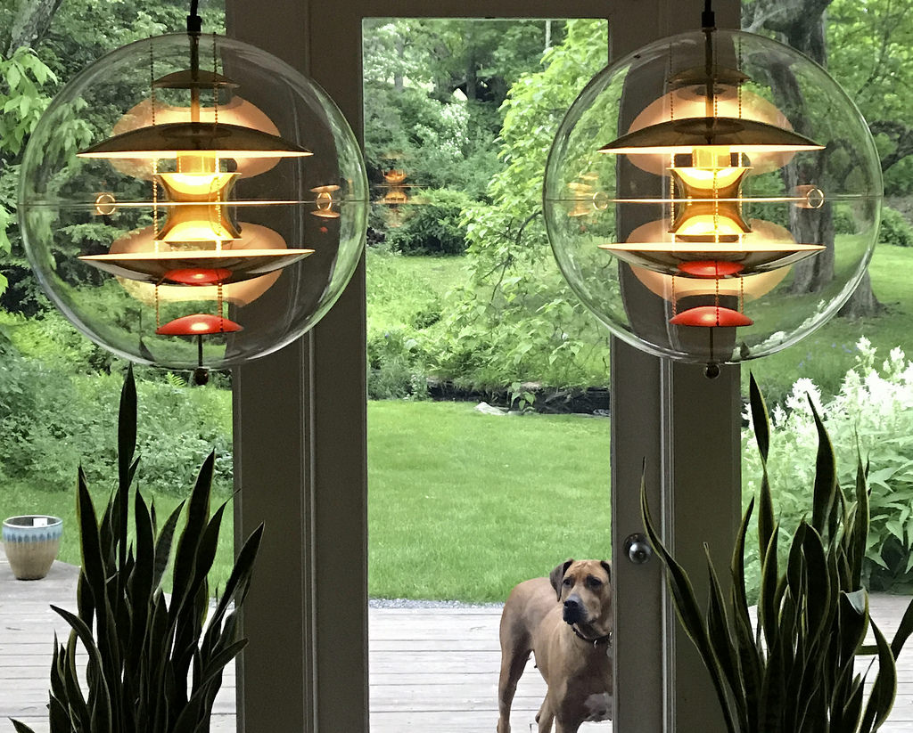 34959855102_c8b6a3fbfc_b